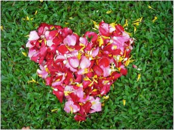 HEART MARILYN-TAM-3-2012